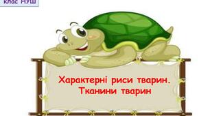 Самостійна робота з теми “Характерні риси тварин”