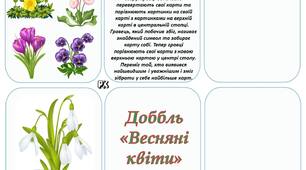 Доббль «Весняні  квіти»