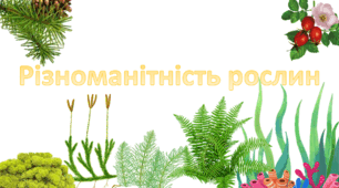 Насінні і спорові рослини