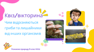 Чим відрізняються гриби та лишайники від інших організмів