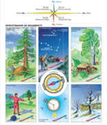 08007z2j-37b7-156x182.png