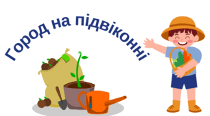 Оформлення для проєктної діяльності "Город на підвіконні"