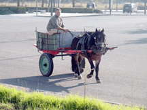 080082ck-0f71-216x162.png