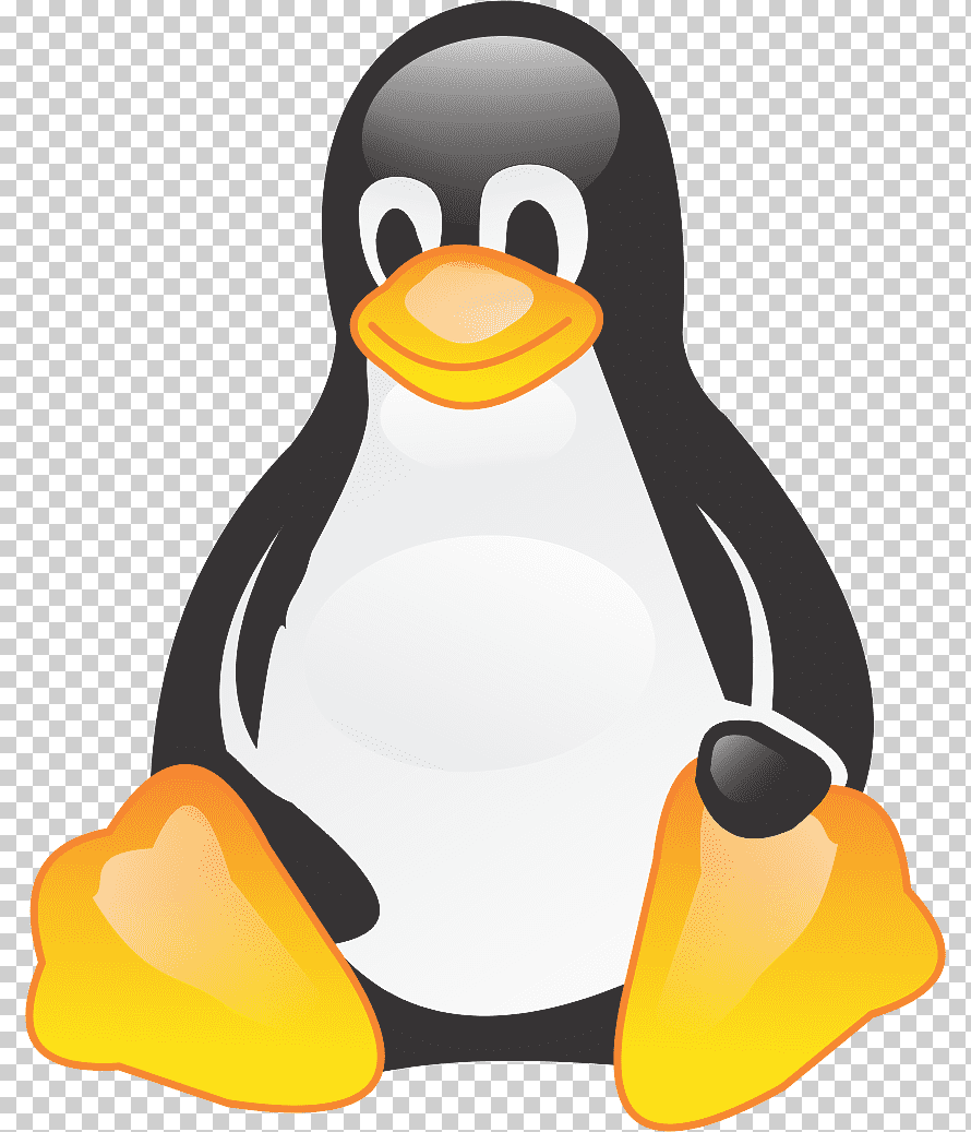 080082gt-805a-890x1037.png