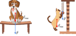080082iv-e428-152x72.png