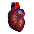 080083c8-fd5d-118x118.png
