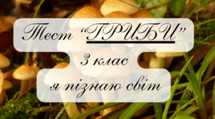 Тест для 3 класу з предмету "Я пізнаю світ" на тему: "Гриби"
