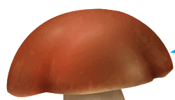 0800892x-1ef1-251x144.png
