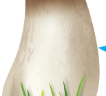 0800893c-ecdf-154x139.png