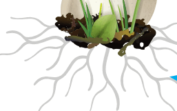 0800893p-24a9-257x161.png