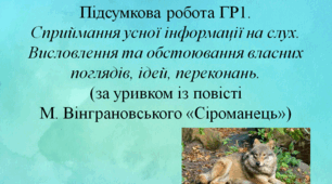 Підсумкова робота ГР1  (за уривком із повісті М. Вінграновського «Сіроманець»).