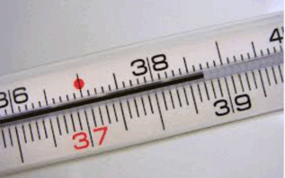 08008cla-c068-391x245.png