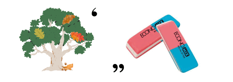 08008ern-7e3f-786x278.png