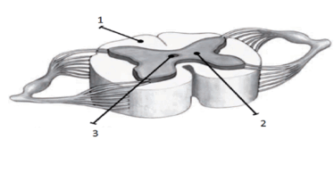 08008fek-c598-374x194.png