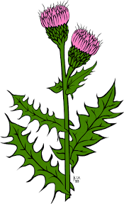 08008kz2-9565-175x288.png