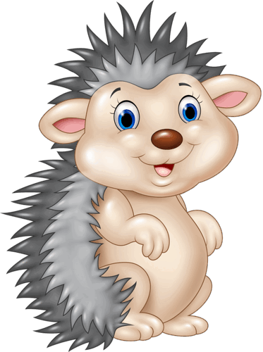 08008m85-32f9-373x500.png