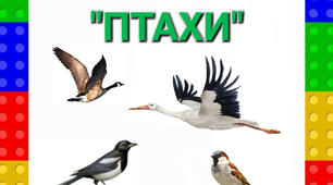 Дидактична гра:"Птахи"