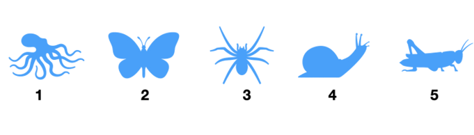 08008qg6-cbdb-463x132.png