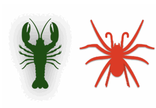 08008sxx-6a23-308x213.png