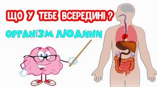 Людина. Організм людини.