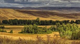 Лісостеп