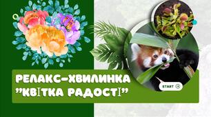 Психологічна релакс-хвилинки "Квітка радості"