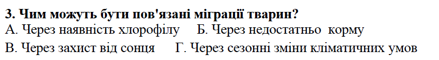 08008yti-db07-874x121.png