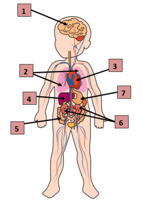 08008ywi-0efa-514x733.png