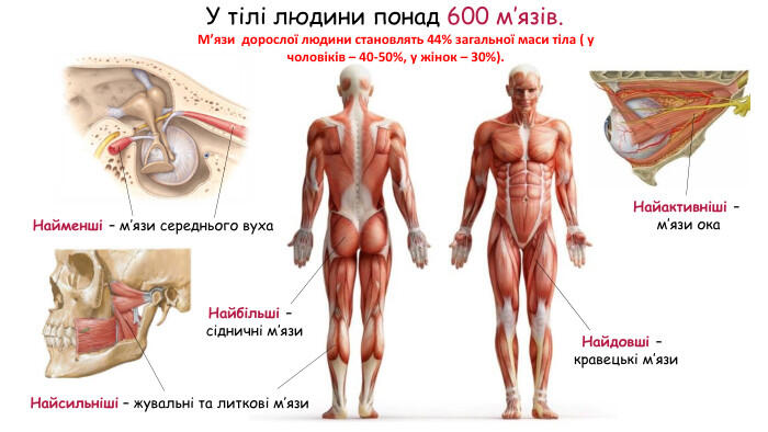08008zol-a070-700x394.jpg