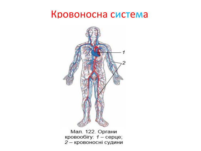 08008zpm-17a9-700x525.jpg