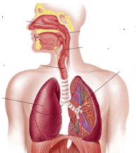 08008zq8-d9a6-194x218.png