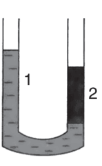 0800904n-6350-148x242.png