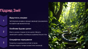 Рептилії:  Роль у природі та житті людини