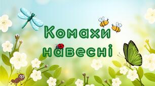 Презентація "Комахи навесні"