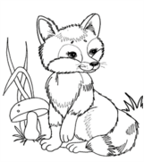 080094of-16b5-161x181.png