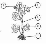 080094p9-d68f-194x187.png