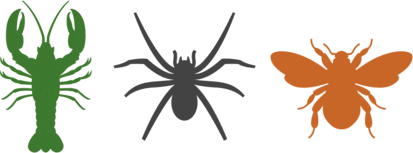 080096n2-a386-413x153.png