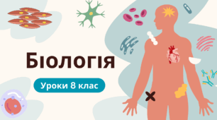 Головний мозок