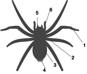 0800998e-b87a-293x250.png