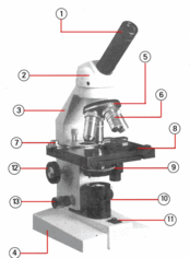08009bkf-6693-174x236.png