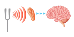 08009ccf-6772-152x76.png