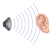 08009cdx-c3fa-216x203.png