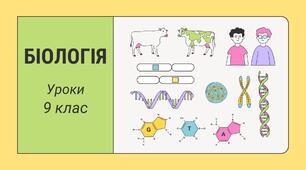 Ліпіди: властивості та біологічна роль