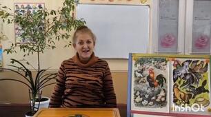 Заняття з ознайомлення з природнім довкіллям.
