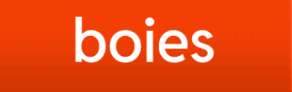 08009e91-bcf6-412x130.png