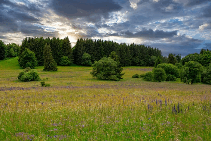 08009f7i-5b47-702x468.png