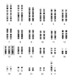 08009fkg-b04f-246x263.png
