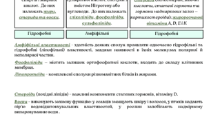 Органічні сполуки. Вуглеводи, ліпіди. НМТ
