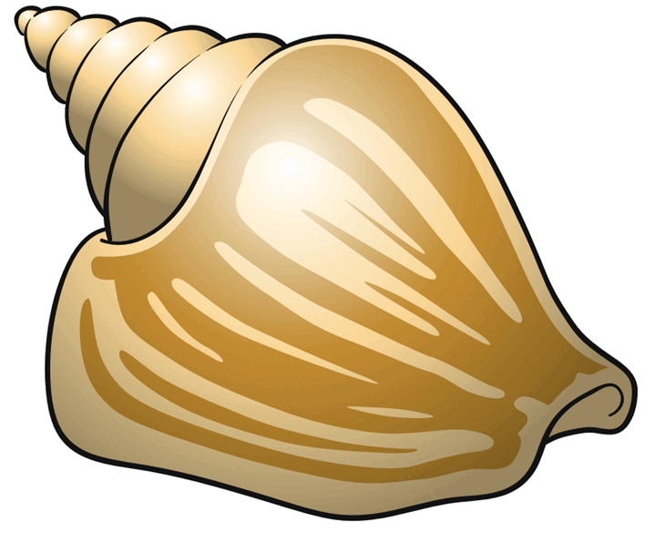 08009gq4-e7f5-719x585.png
