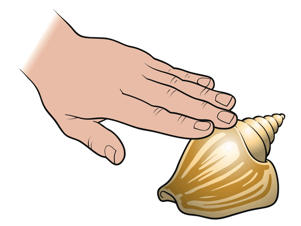 08009gqb-95dd-621x466.png
